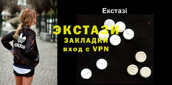 круглые Гусев