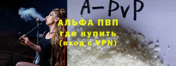 прущие грибы Горняк