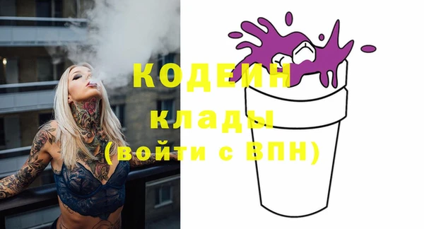 круглые Гусев