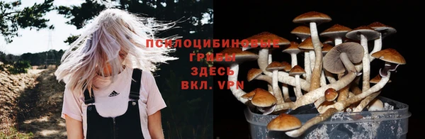 кокаин перу Гусь-Хрустальный