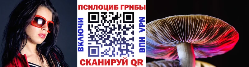 Купить закладки  Каменногорск  Галлюциногенные грибы прущие грибы 